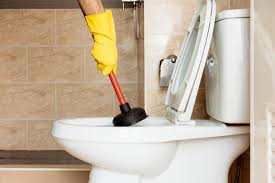Blocked Toilet Clearing